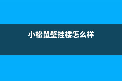 南京小松鼠壁挂炉售后(“家庭小白”夏季壁挂炉养护指南)(小松鼠壁挂楼怎么样)