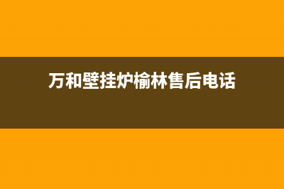 万和壁挂炉榆林售后(冷凝市场壁挂炉市场发展及应用)(万和壁挂炉榆林售后电话)