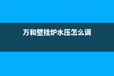 万和壁挂炉水压开关故障怎么处理(万和壁挂炉水压怎么调)