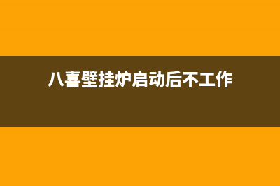 八喜壁挂炉启动后一直红灯闪烁解决方法【详细阐述】(八喜壁挂炉启动后不工作)