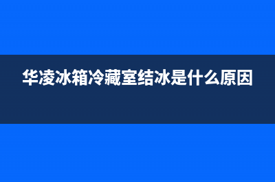 华凌冰箱真空系列452升变频一级能效BCD(华凌冰箱冷藏室结冰是什么原因)