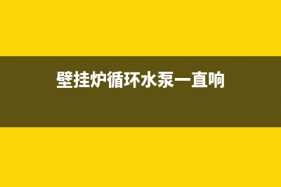 壁挂炉循环水泵(燃气锅炉补水泵作用)(壁挂炉循环水泵一直响)