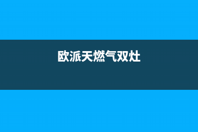 欧派煤气双灶维修(为什么燃气灶2个不能同时开火)(欧派天燃气双灶)