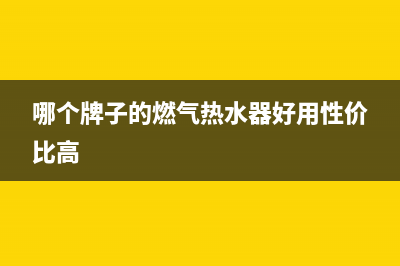 哪个牌子的燃气壁挂炉维修率高(家用壁挂炉该咋选)(哪个牌子的燃气热水器好用性价比高)